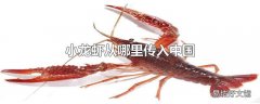 小龙虾从哪里传入中国