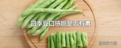 四季豆口感脆是否有毒