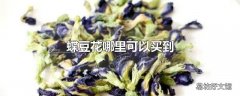 蝶豆花哪里可以买到