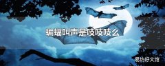 蝙蝠叫声是吱吱吱么