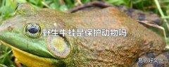 野生牛蛙是保护动物吗