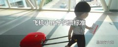 飞机小孩子买票标准