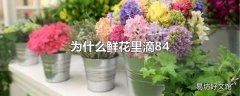 为什么鲜花里滴84