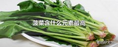 菠菜含什么元素最高