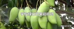 学校绿化芒果能吃吗