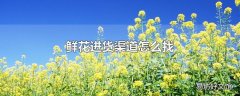 鲜花进货渠道怎么找