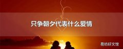 只争朝夕代表什么爱情