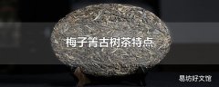 梅子箐古树茶特点