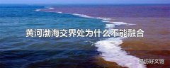 黄河渤海交界处为什么不能融合