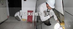 封闭天花板怎么灭鼠