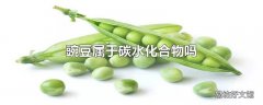 豌豆属于碳水化合物吗