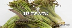 刺老芽怎么存放