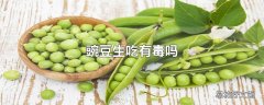 豌豆生吃有毒吗