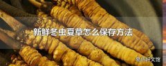 新鲜冬虫夏草怎么保存方法