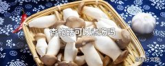 杏鲍菇可以煮汤吗