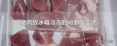 猪肉放冰箱冷冻时间多久变质