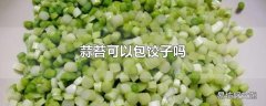 蒜苔可以包饺子吗