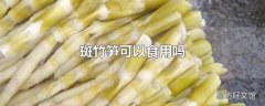 斑竹笋可以食用吗