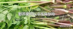 野芹菜可以冷冻保存吗