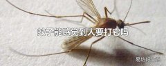 蚊子能感觉到人要打它吗