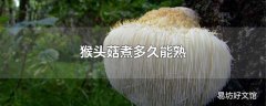 猴头菇煮多久能熟