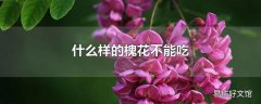 什么样的槐花不能吃