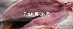 孔雀肉可以吃吗