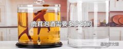 鹿茸泡酒需要多少时间