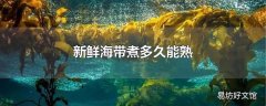 新鲜海带煮多久能熟