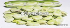 蚕豆怎样保鲜冷冻