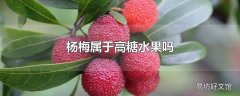 杨梅属于高糖水果吗