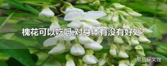 槐花可以吃吗,对身体有没有好处?