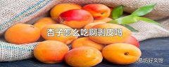 杏子怎么吃啊剥皮吗