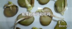 发芽的蚕豆能吃吗