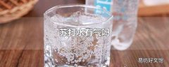 苏打水有气吗