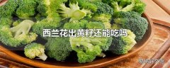 西兰花出黄籽还能吃吗