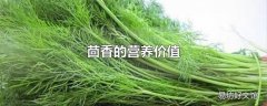 茴香的营养价值