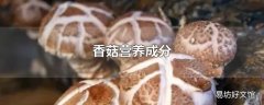 香菇营养成分