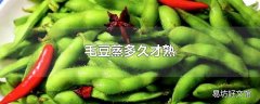 毛豆蒸多久才熟