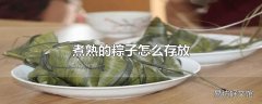 煮熟的粽子怎么存放