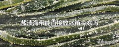 盐渍海带能直接放冰箱冷冻吗