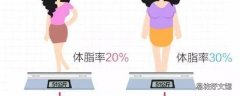 如何计算体脂率女生