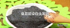 桑葚能染白头发吗