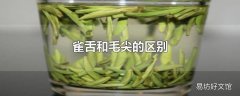 雀舌和毛尖的区别