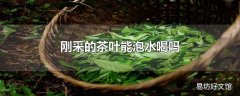 刚采的茶叶能泡水喝吗