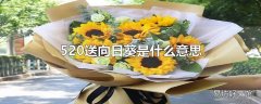 520送向日葵是什么意思