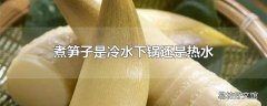 煮笋子是冷水下锅还是热水