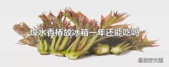 焯水香椿放冰箱一年还能吃吗