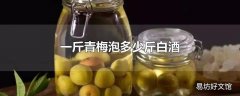 一斤青梅泡多少斤白酒