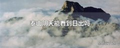 泰山阴天能看到日出吗